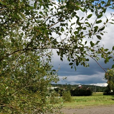 Väylä 5.