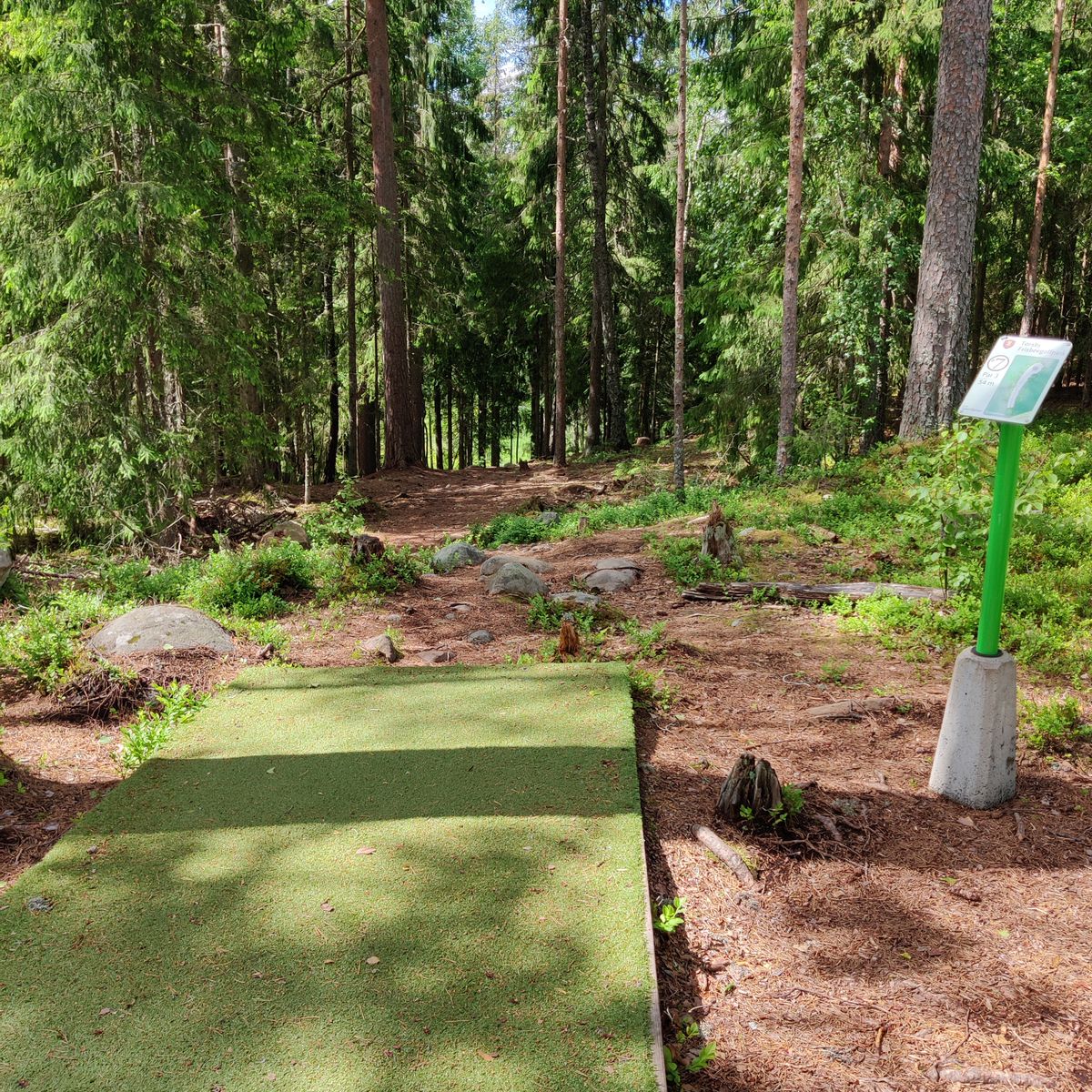 Tee 7