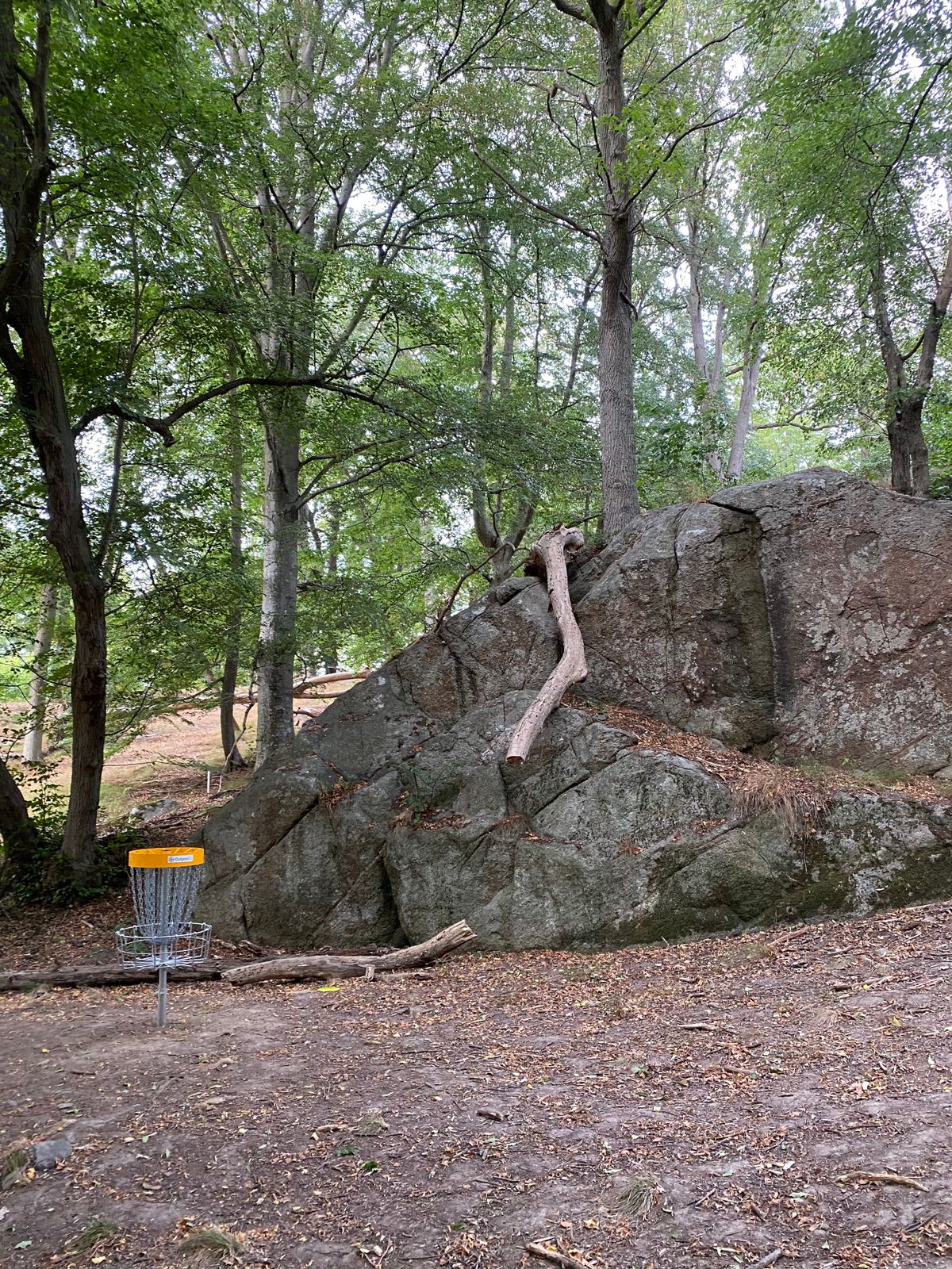Awesome basket placement at hole 13, makes for a tricky approach