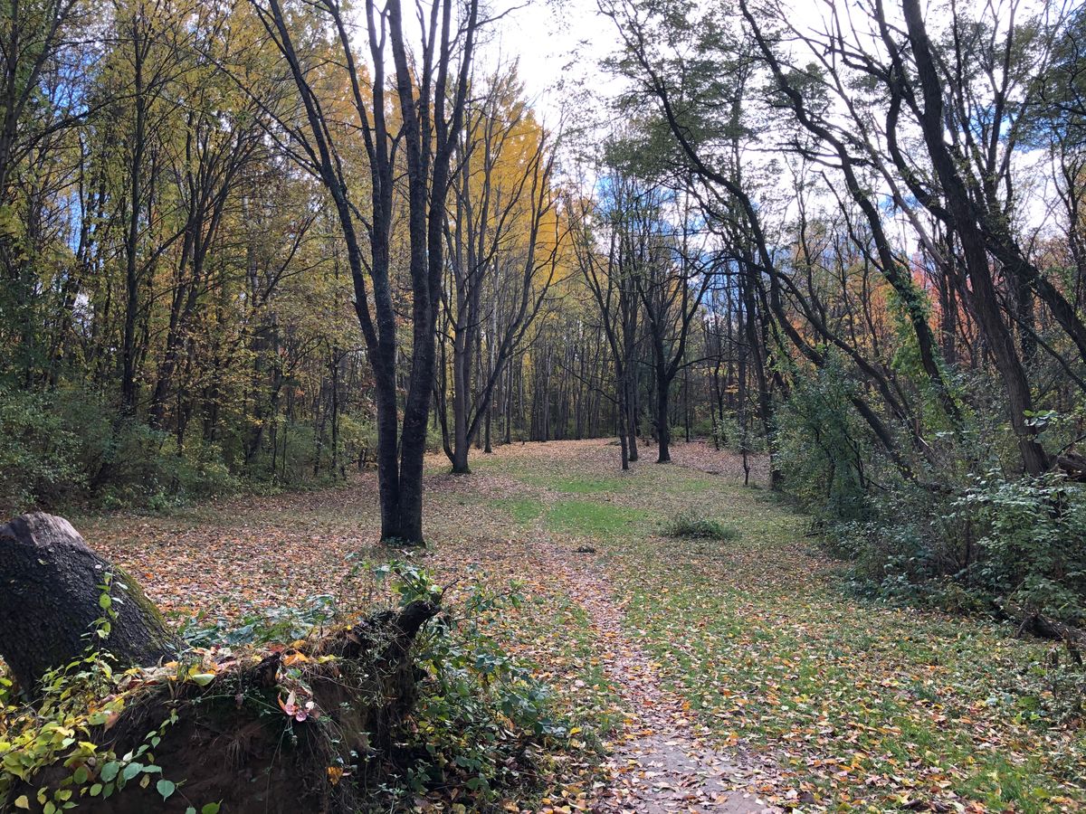 Hole 4 short teepad