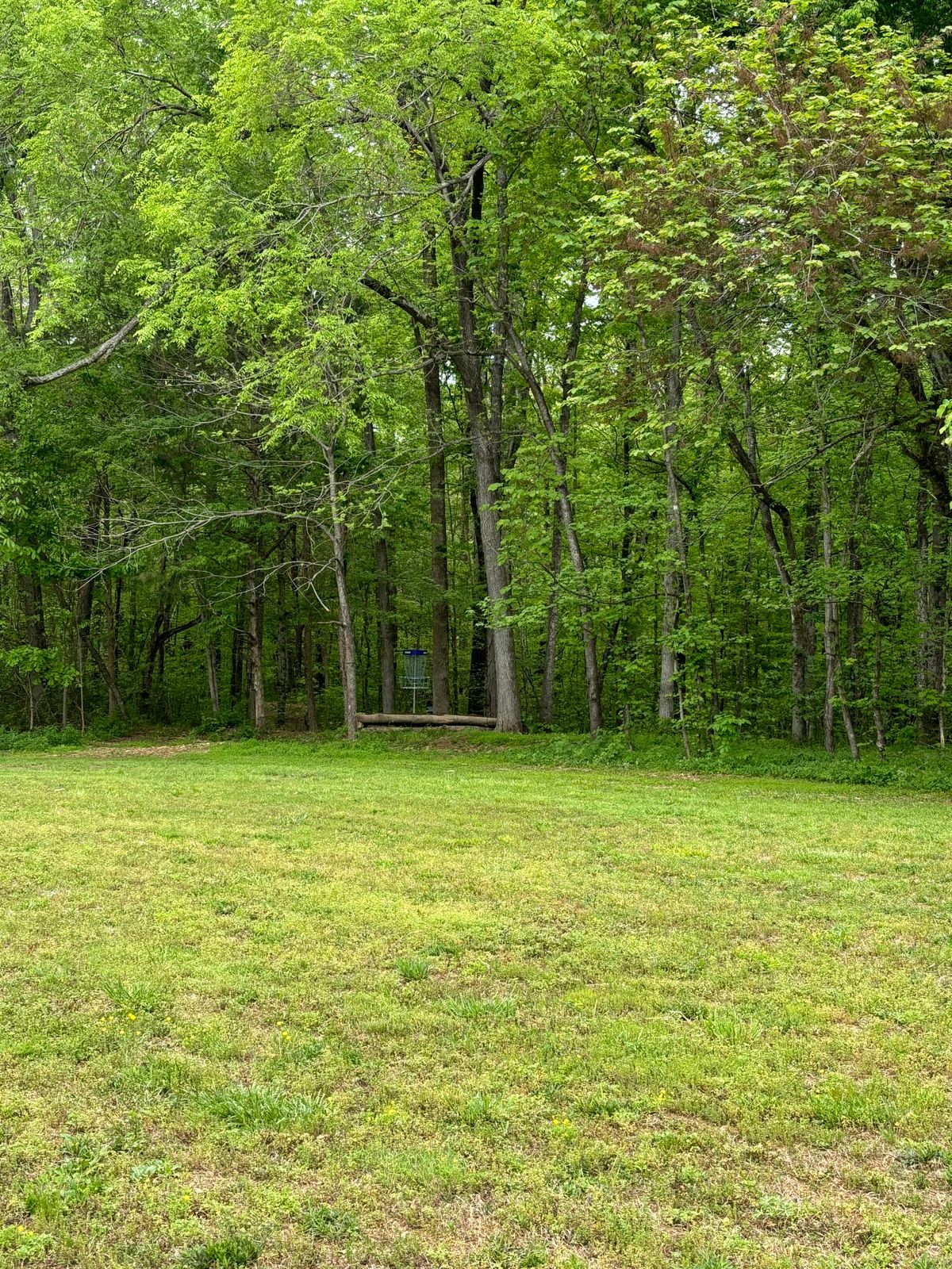 Hole 8