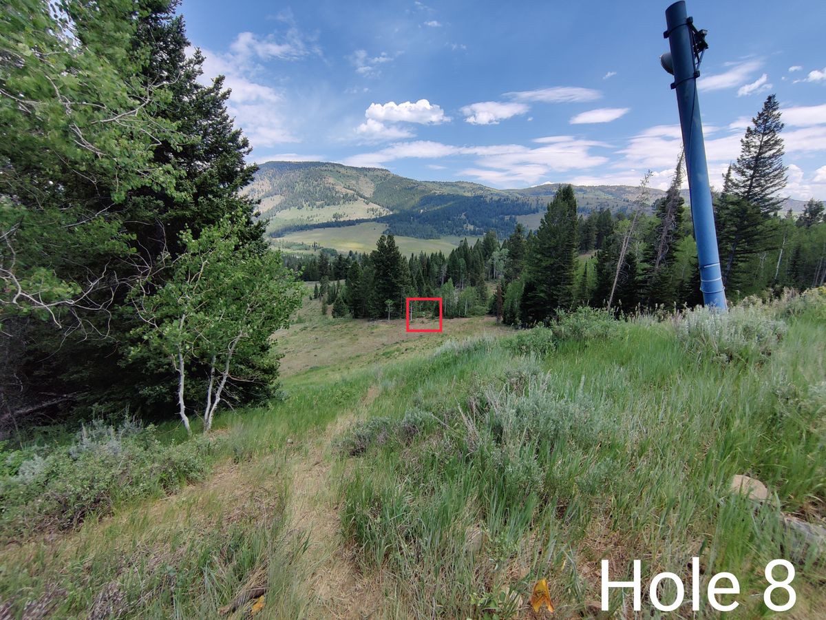 Hole 8