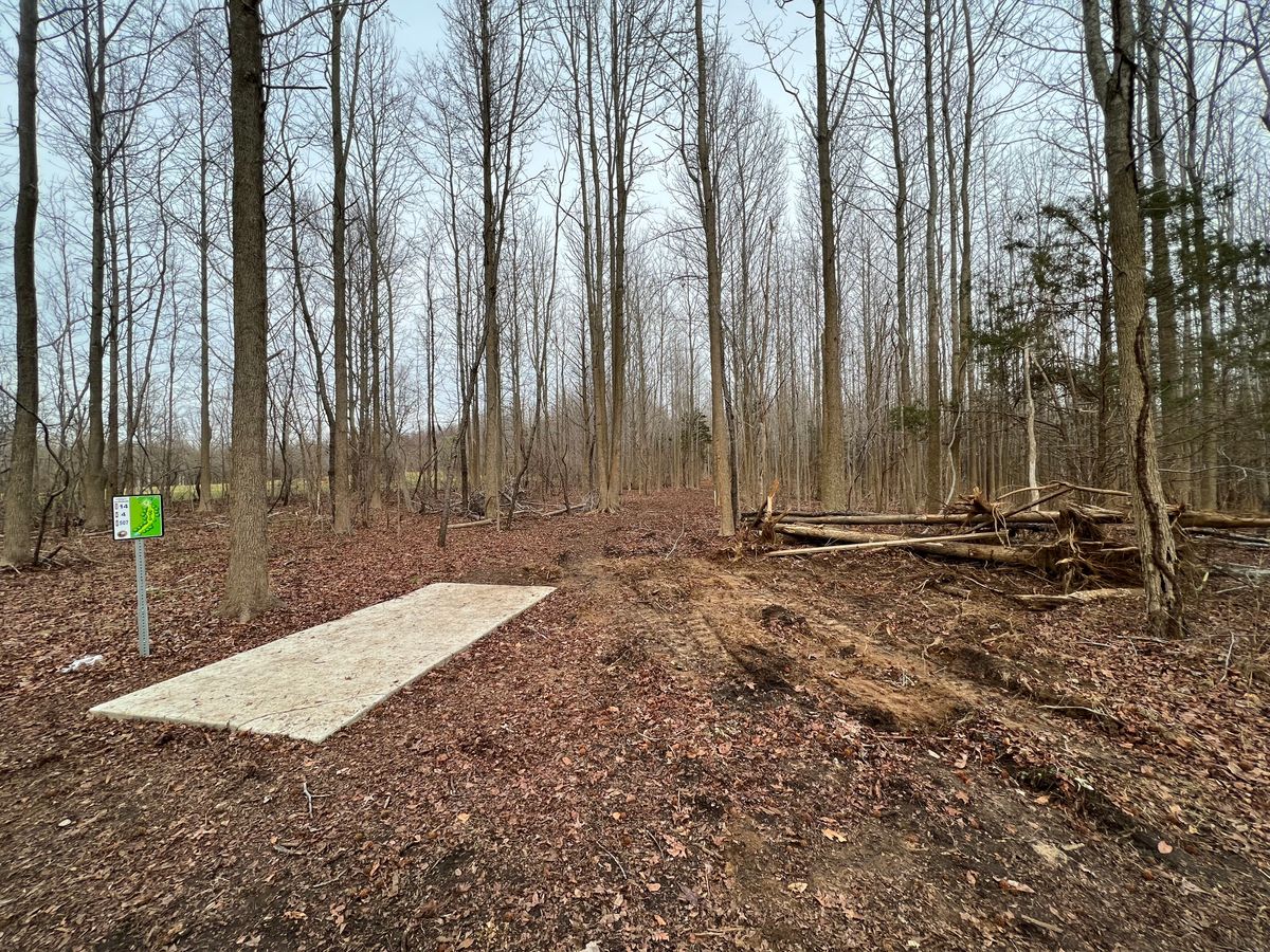 Hole 14 Blue