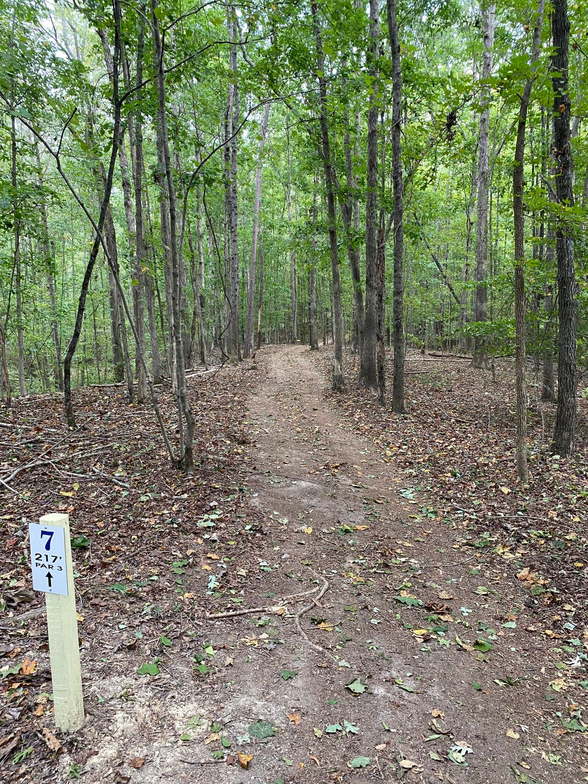 Hole 7 Tee