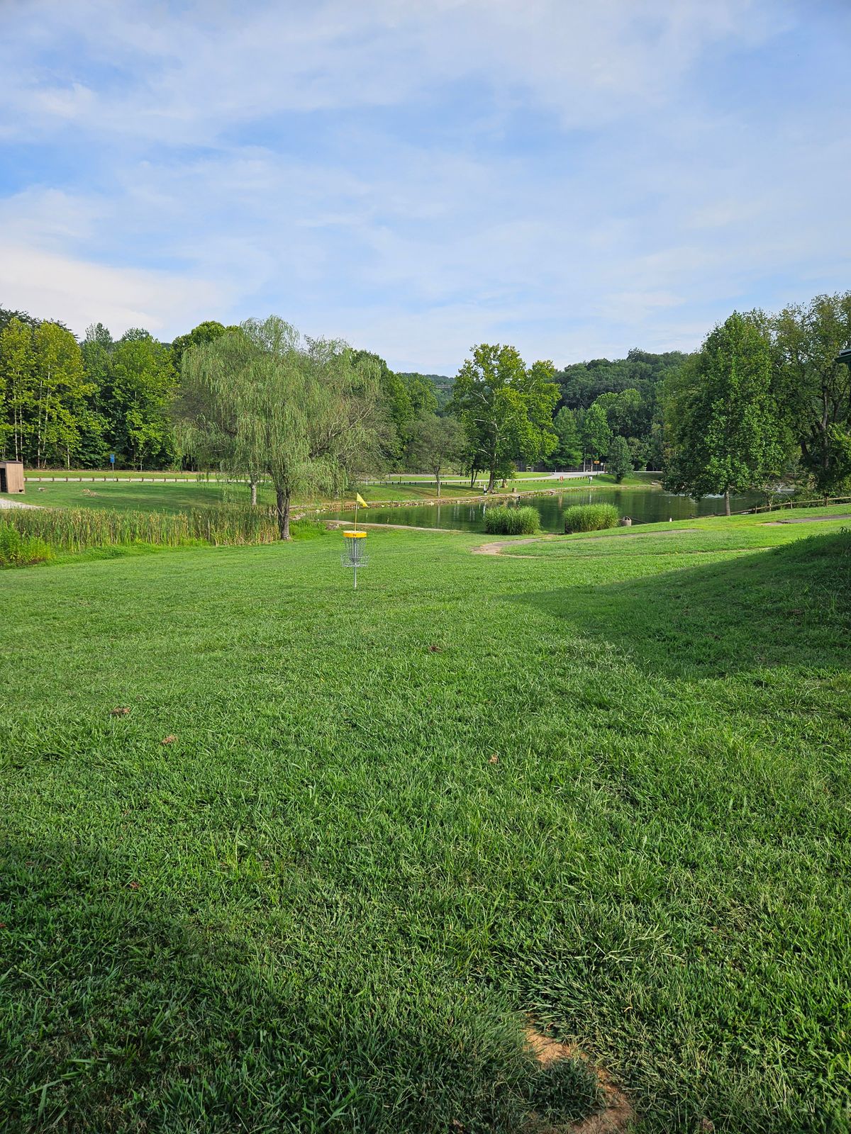 Hole 14 Short Basket. Looking toward Teepads.