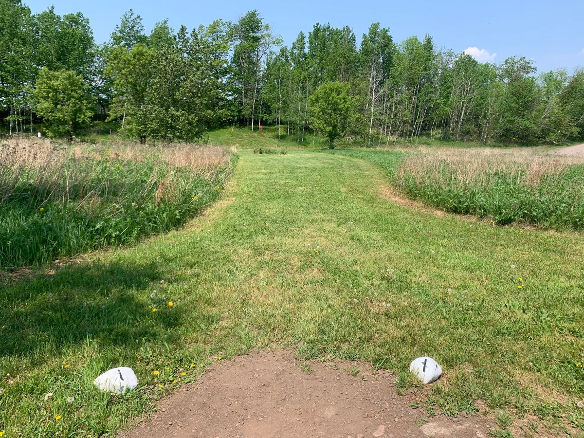 View from hole 1 teepad towards the basket.