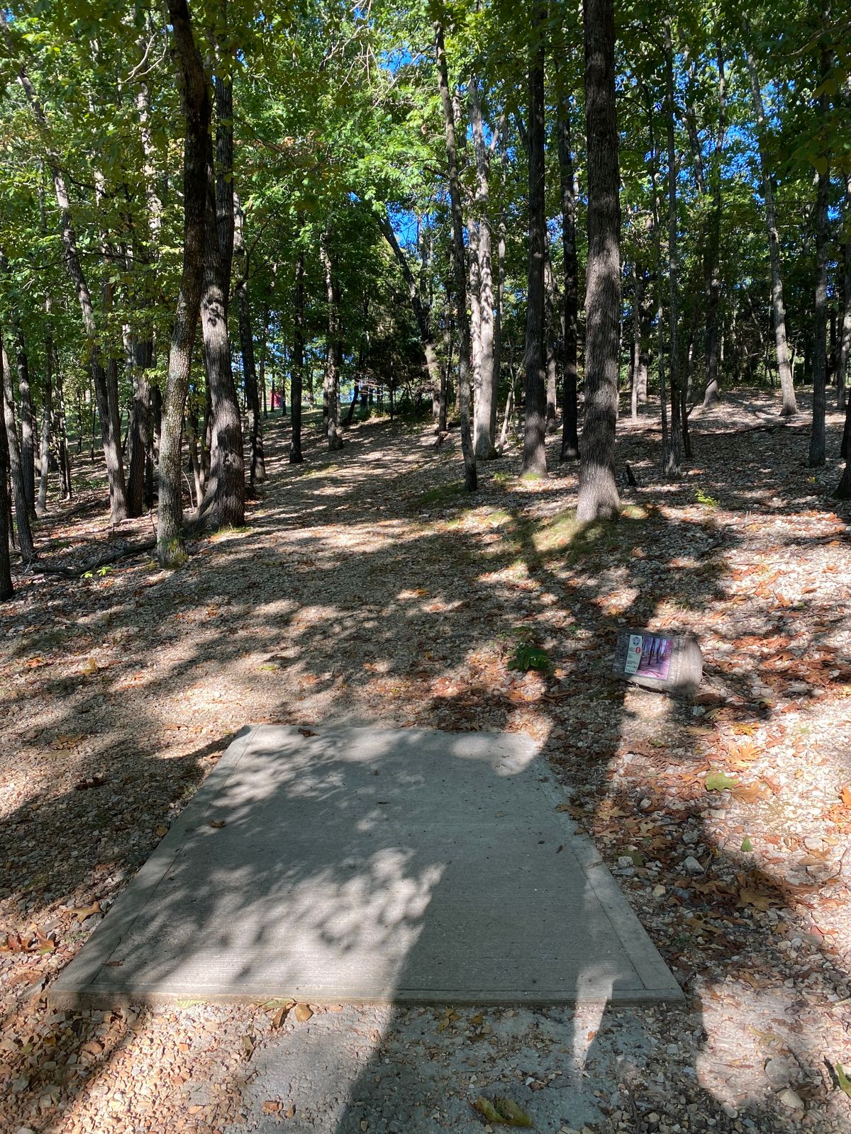Hole 8 pink course