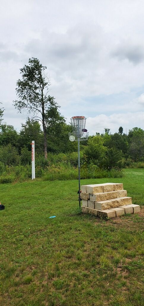 A second suspended basket playing the short tee on a long drive to the short basket.