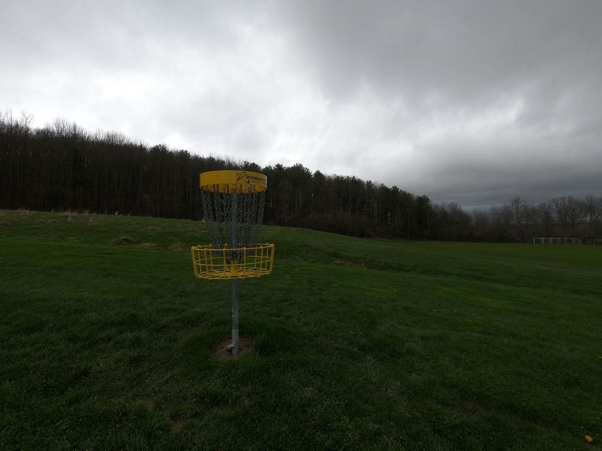 Hole #15 Basket