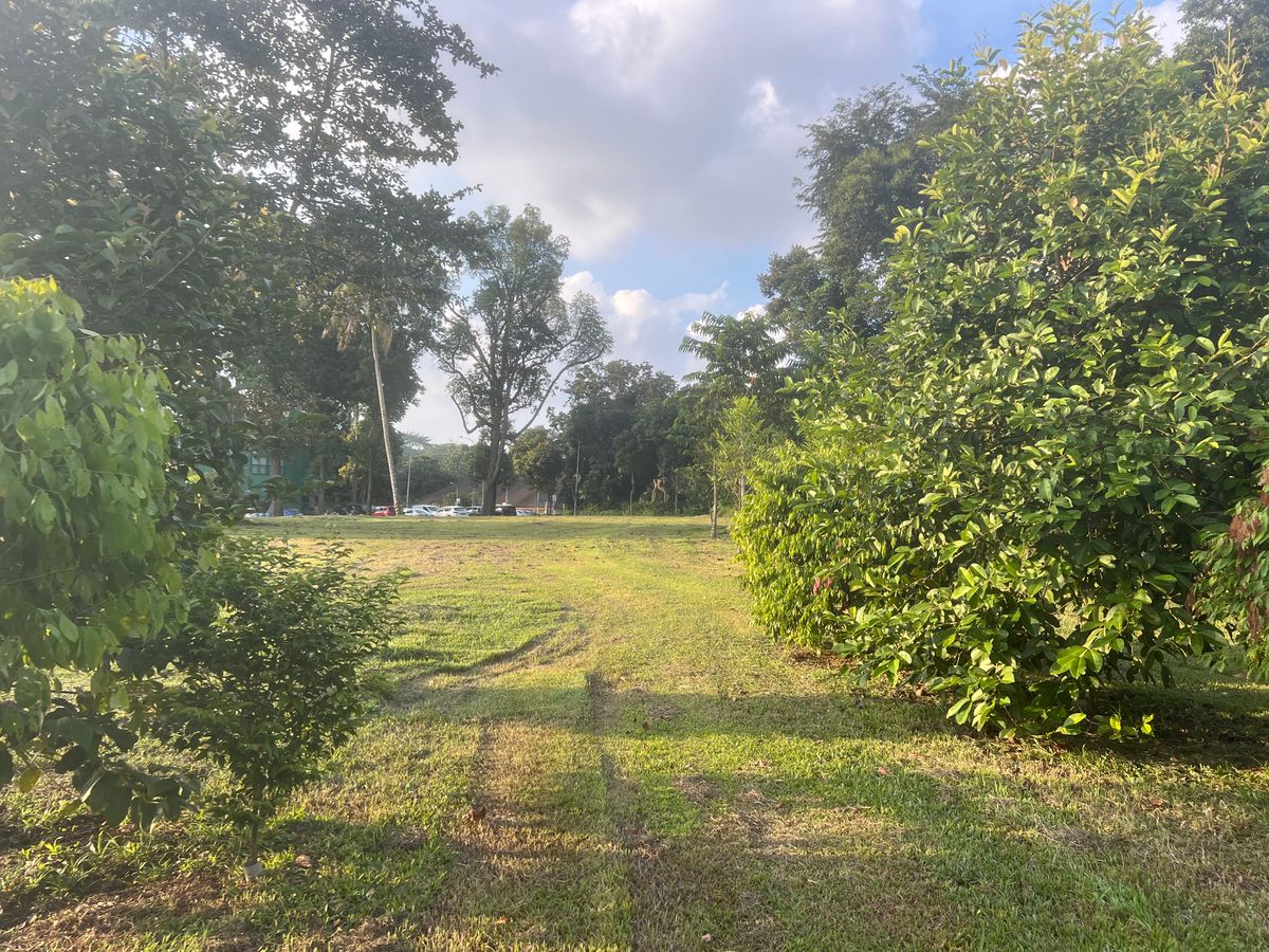 View from the fairway back towards the tee for 7. Landing zones are minimal.
