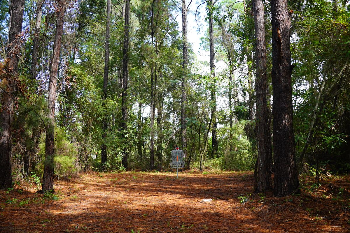 Hole 16’s green