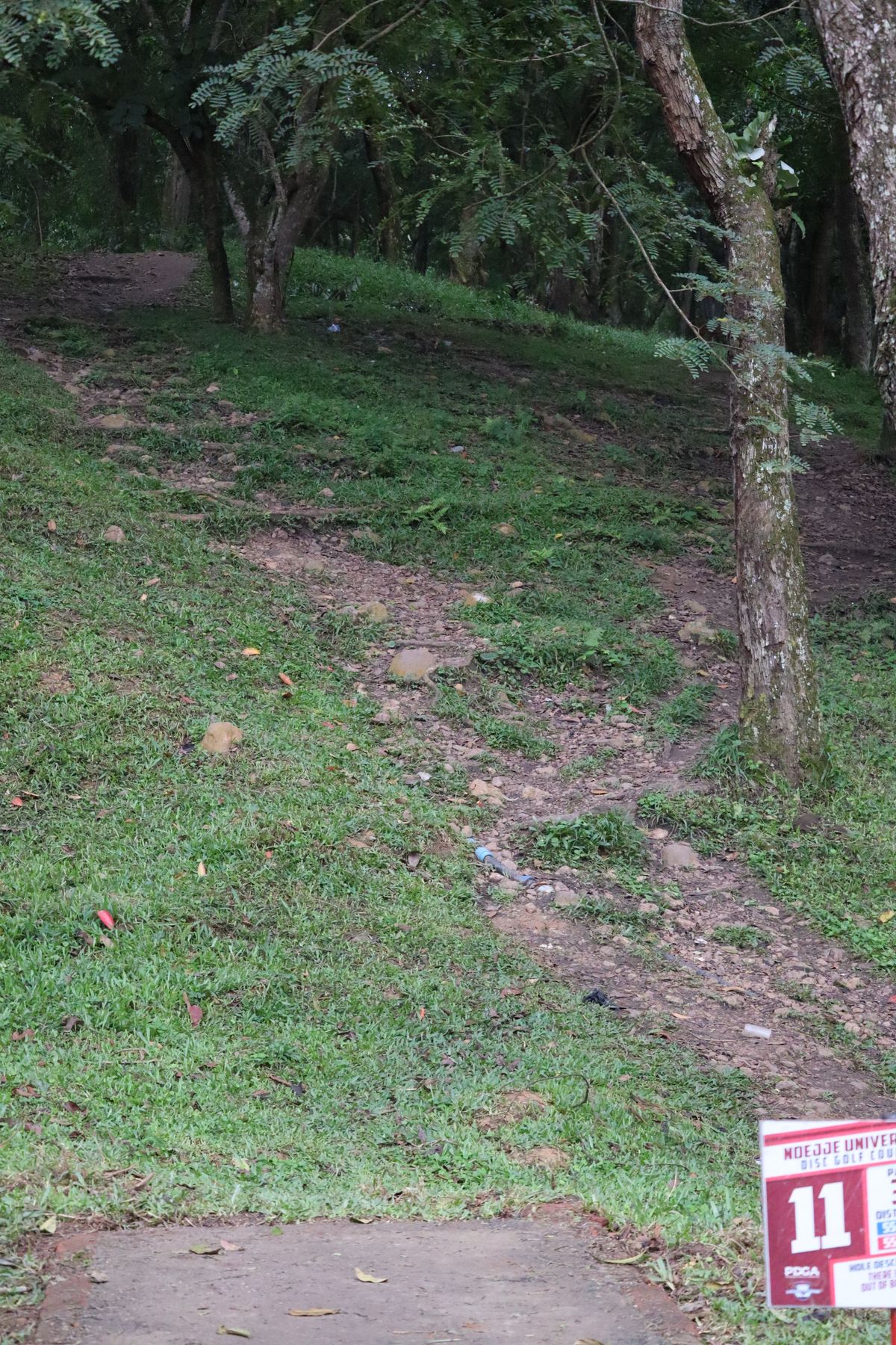 Hole 11 Long Tee