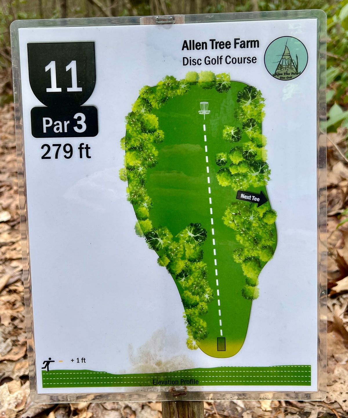 Hole #11