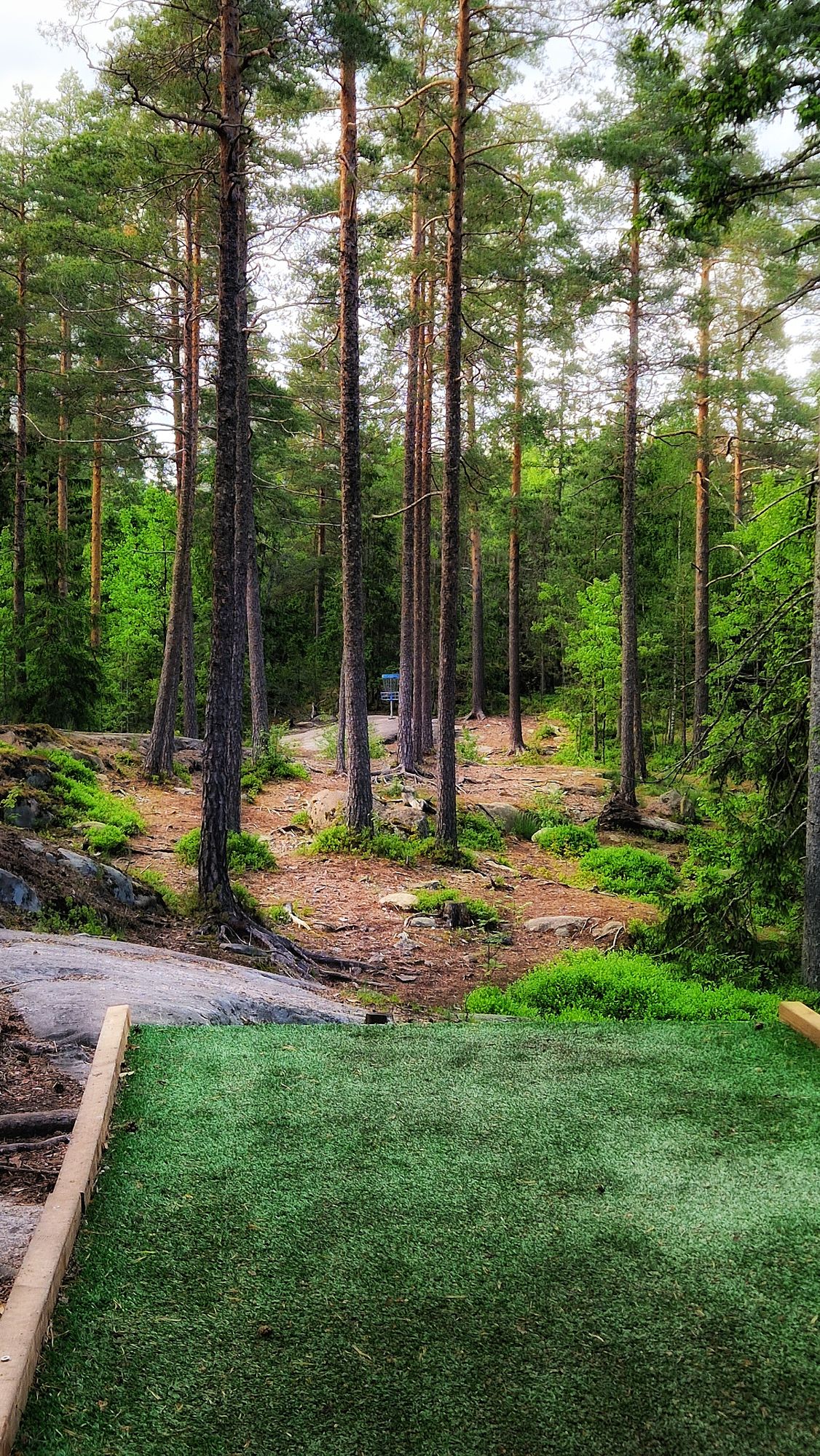 Väylä 7