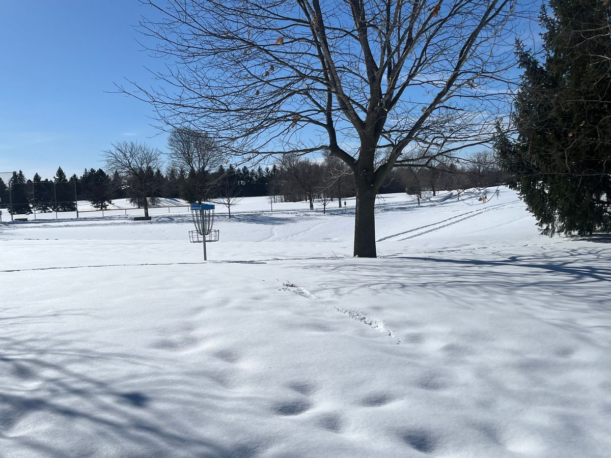 The course is available for play year round! Hole 1 in the foreground, Hole 8 basket in the background on the right. 