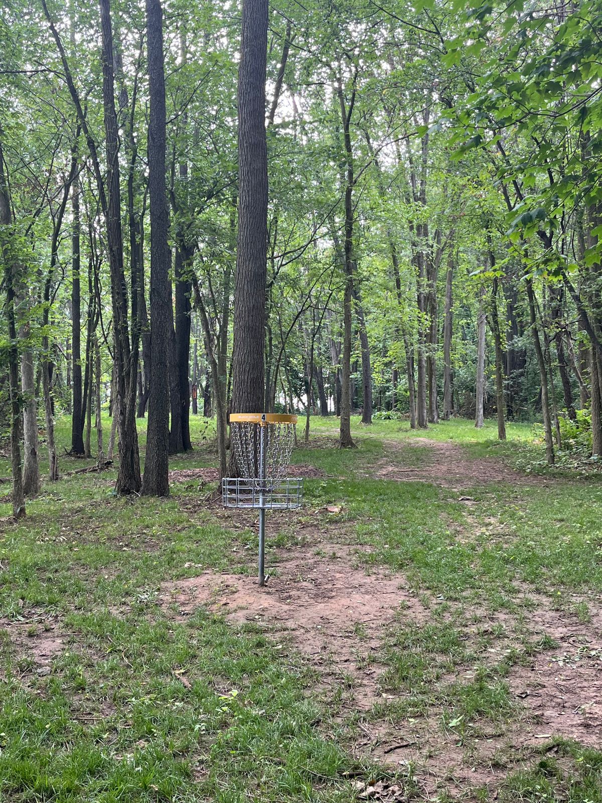 Looking back up hole 4(mid) fairway