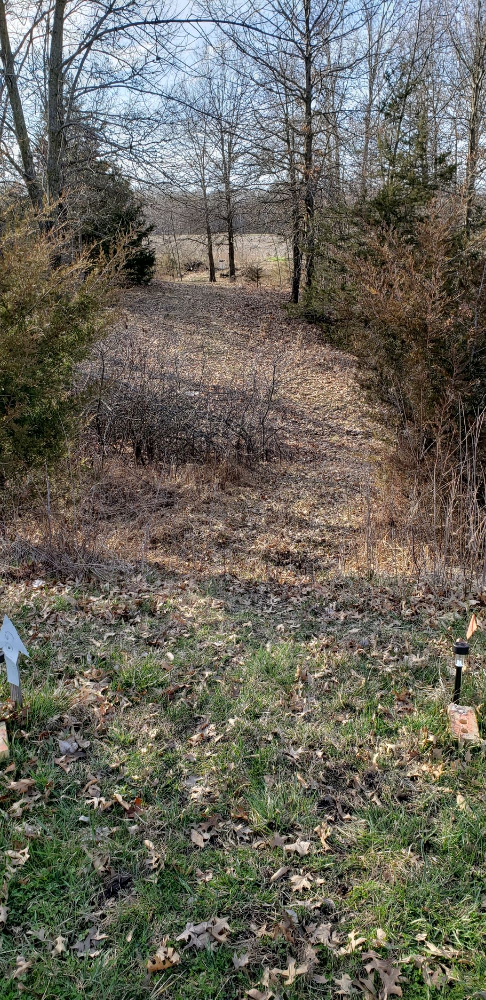 Hole 3 tee pad, Named Corys