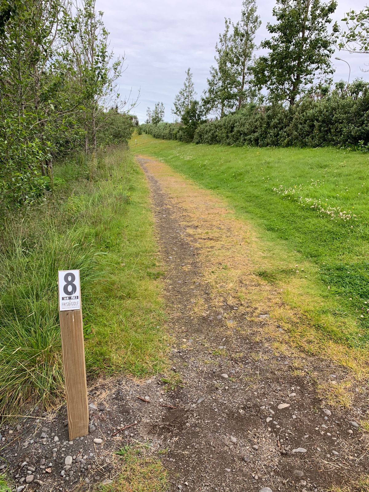 8th tee