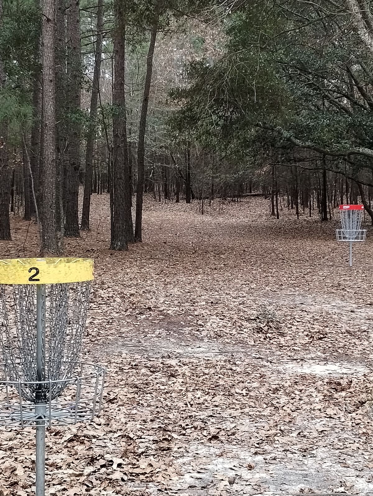 Baskets for hole 2.  Looking back up the fairway (long yellow, short red).