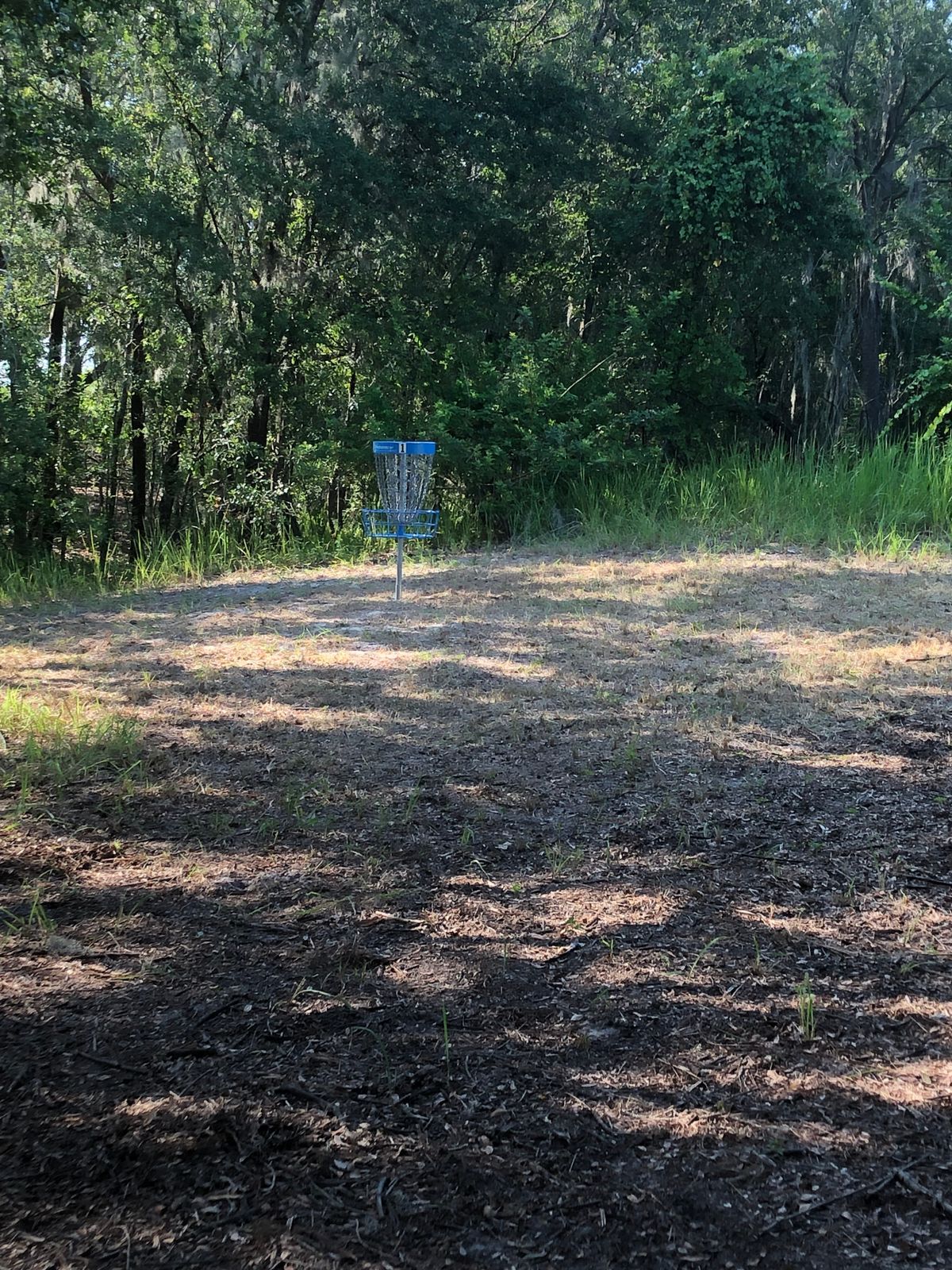 Hole 1 Blue Pin