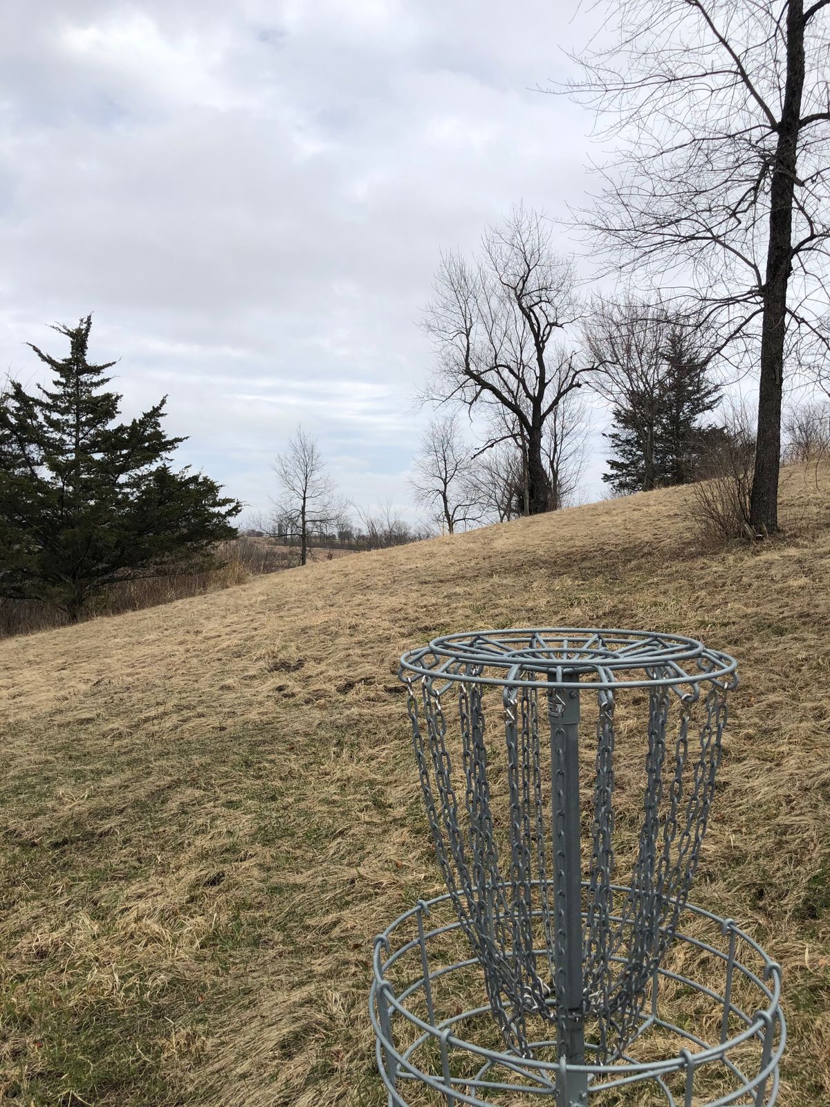 14 pin looking back