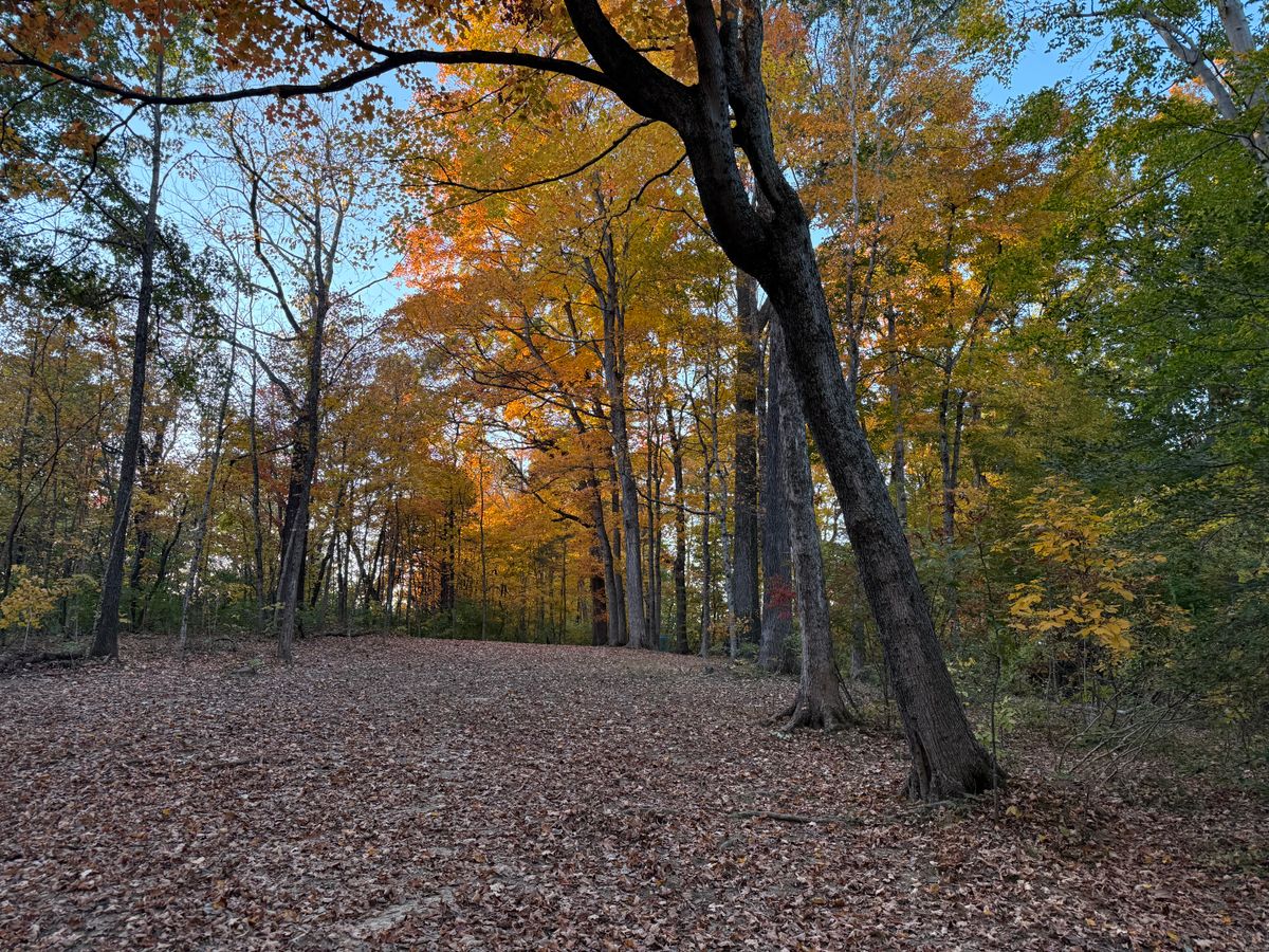 Hole 3.