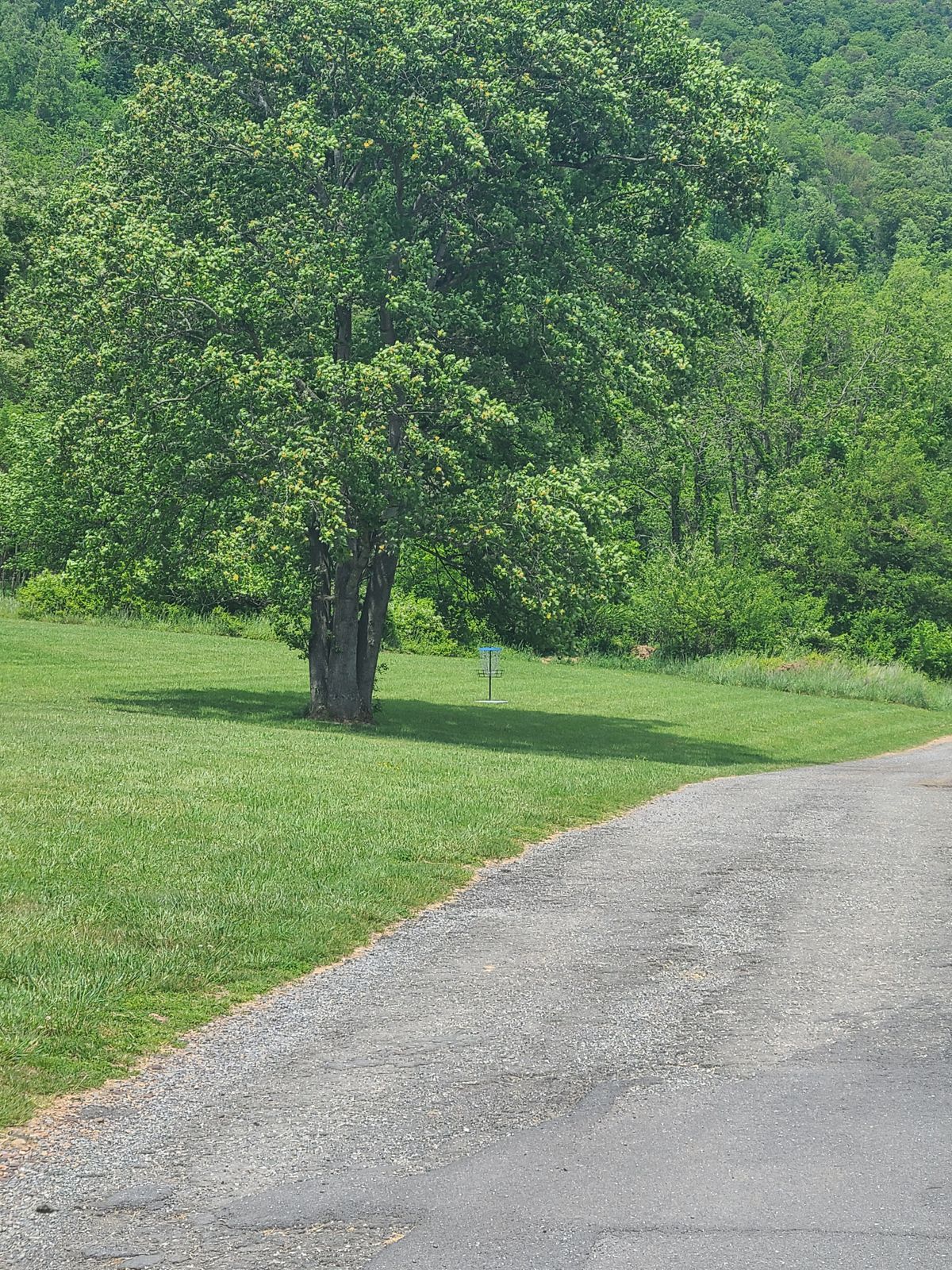 Hole 3 Basket Location