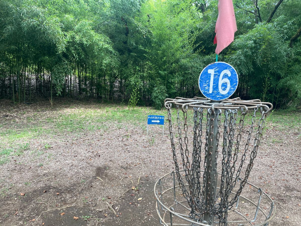 Hole 16 basket with bamboo