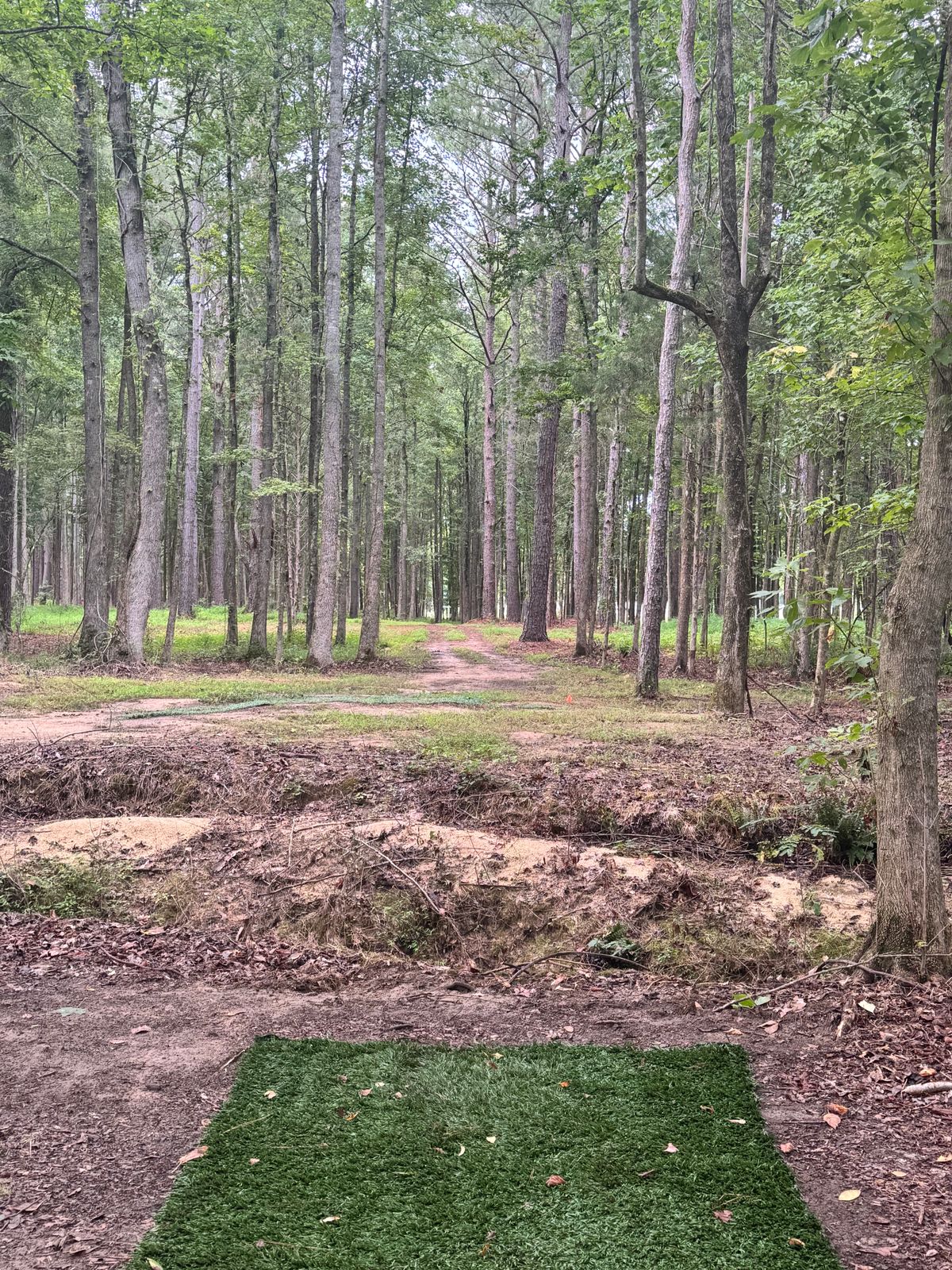 Hole 5