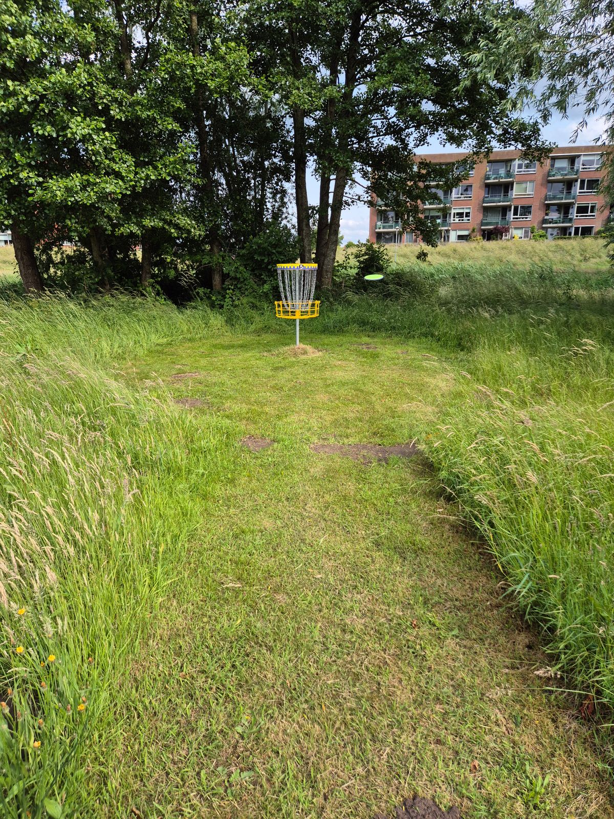 Tee hole 5