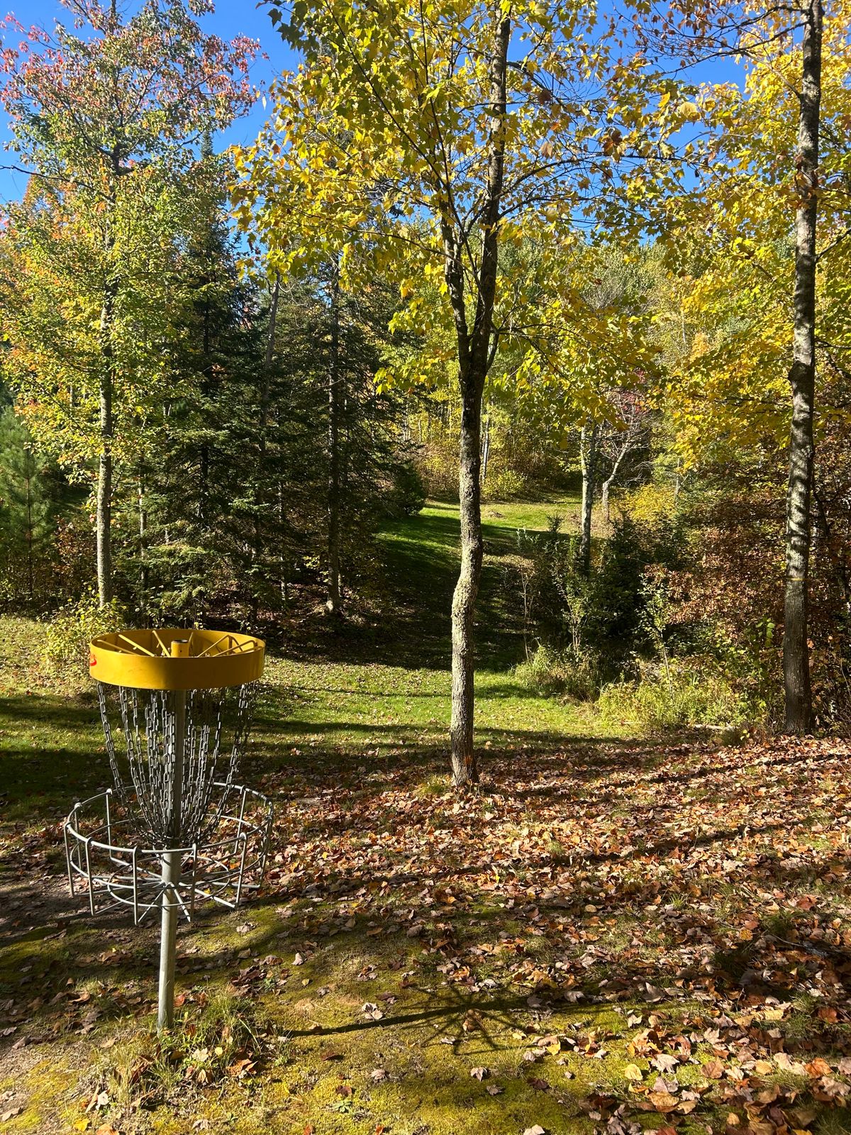 Hole 14