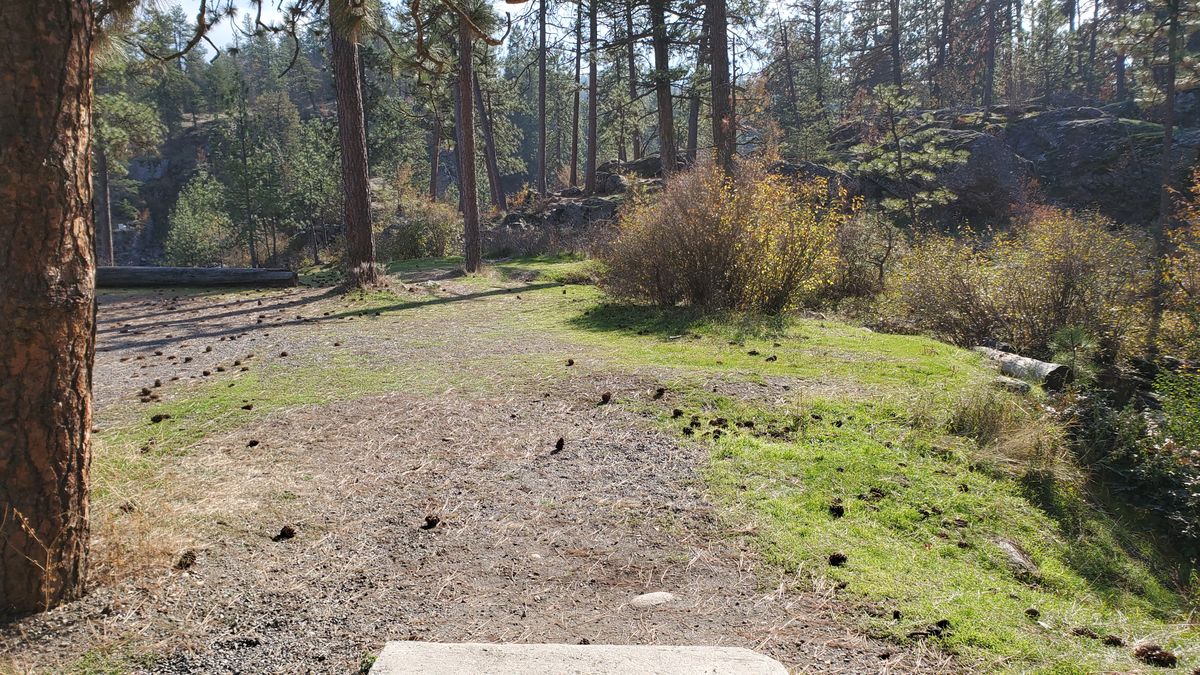 Tee pad hole 2