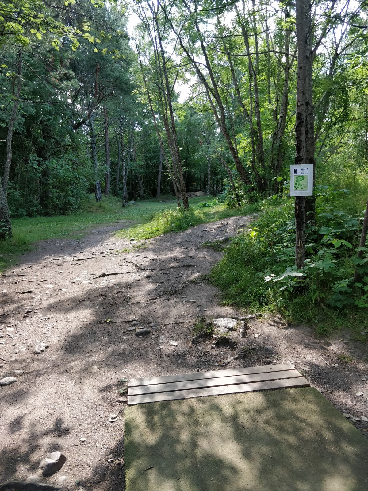 Hole 5 - grön tee