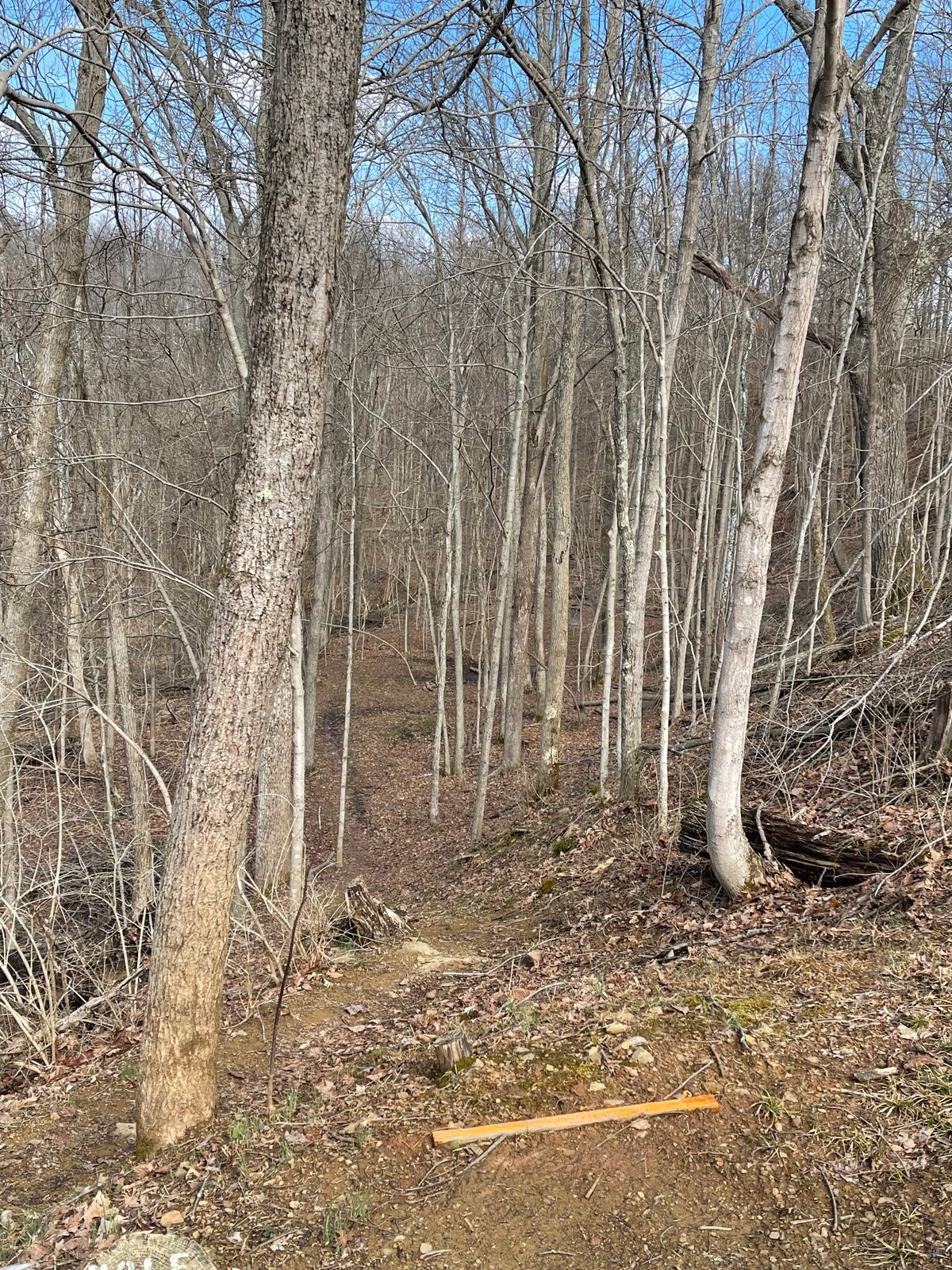 Hole 13 (Teebox, Dogleg Right Downhill)
