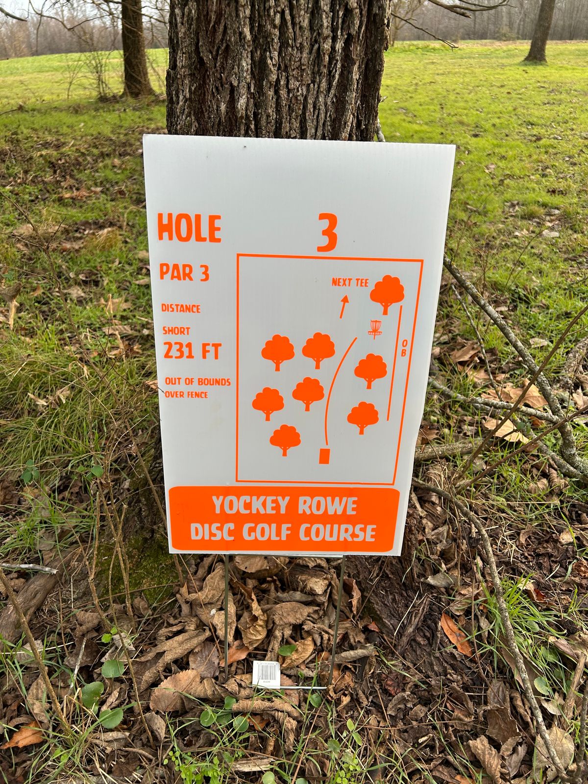 Hole 3 tee sign