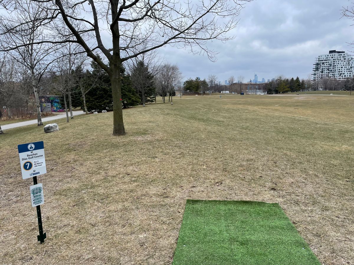 A look from the tee of Hole 7 at the basket.