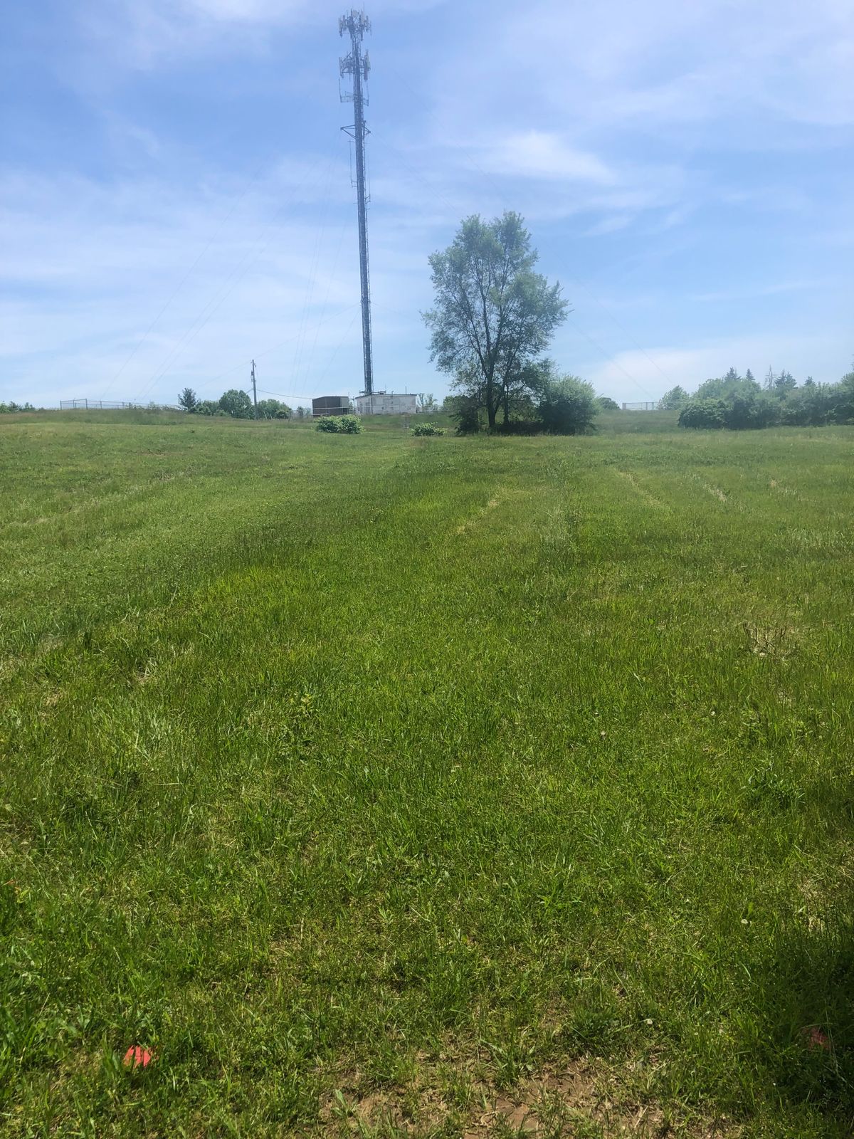 Hole 11 red tee