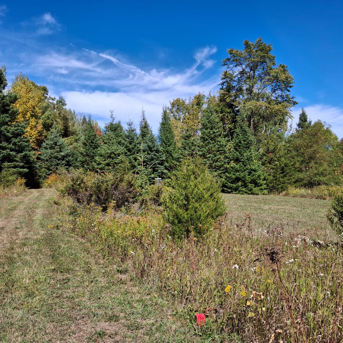 Beautiful spot