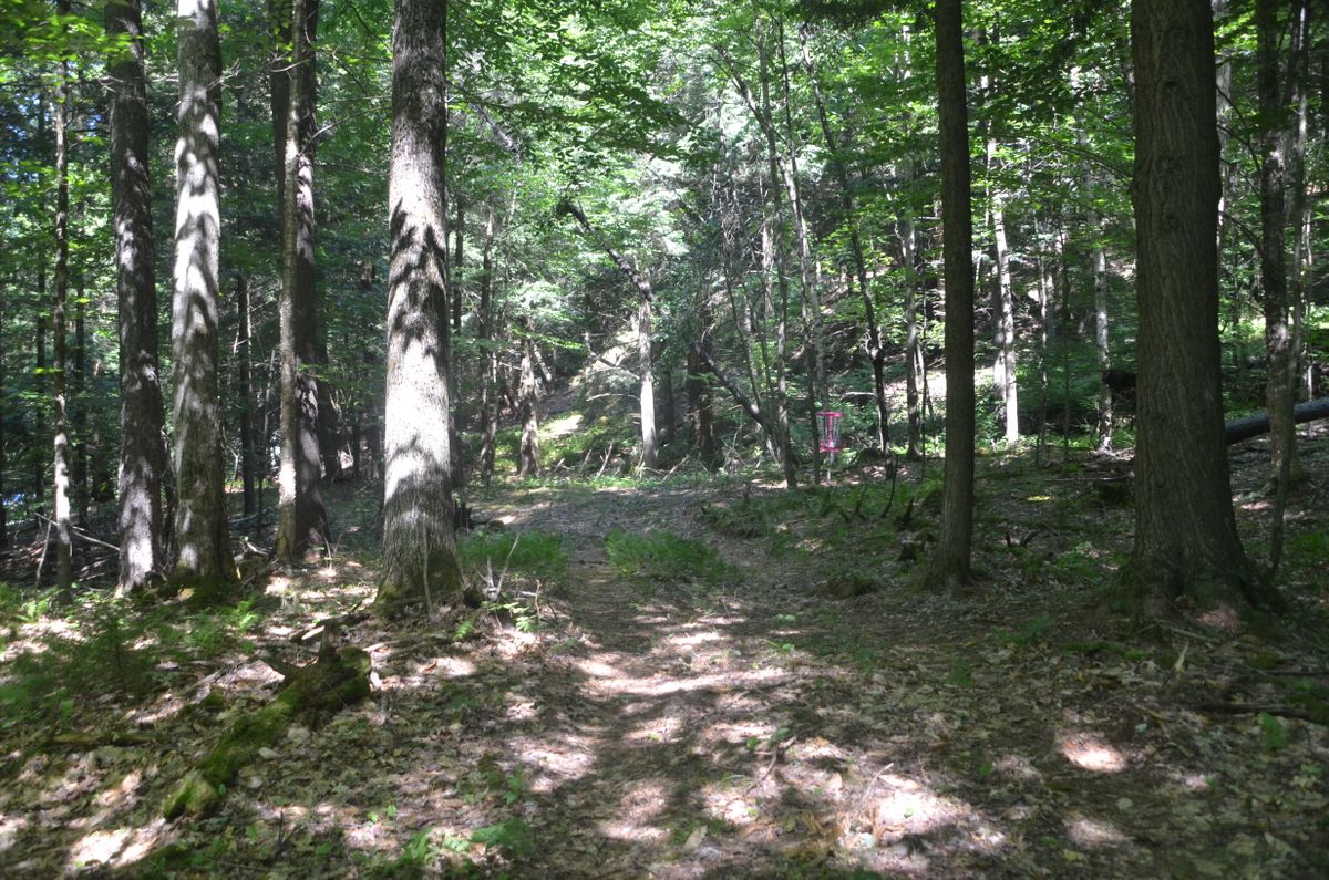 Hole 1 green.