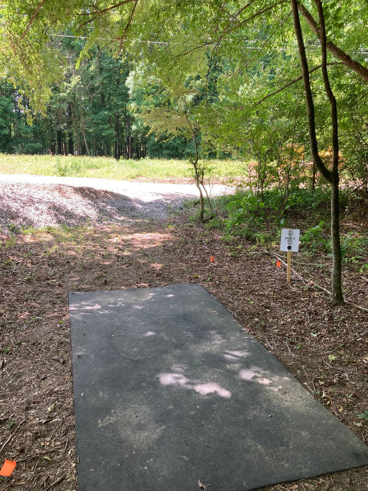Hole#3