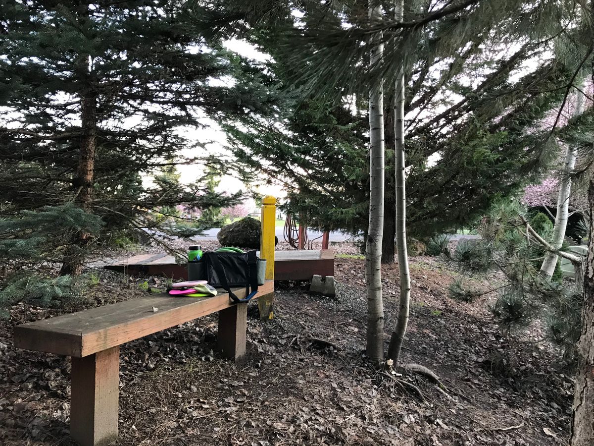 Hole 8 Tee Pad