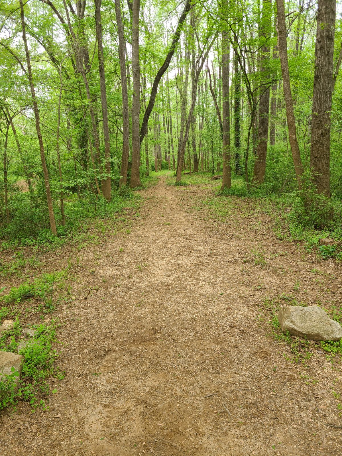 Hole 15 from tee