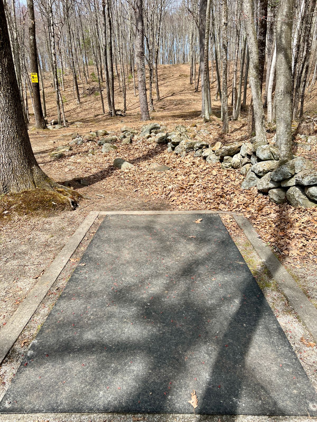 Hole #4 Tee Box