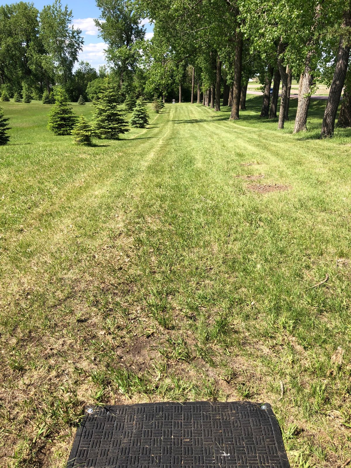 Hole 3 Tee