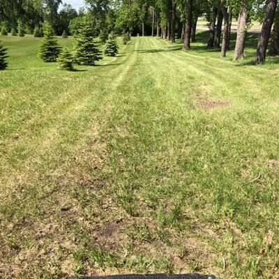 Hole 3 Tee