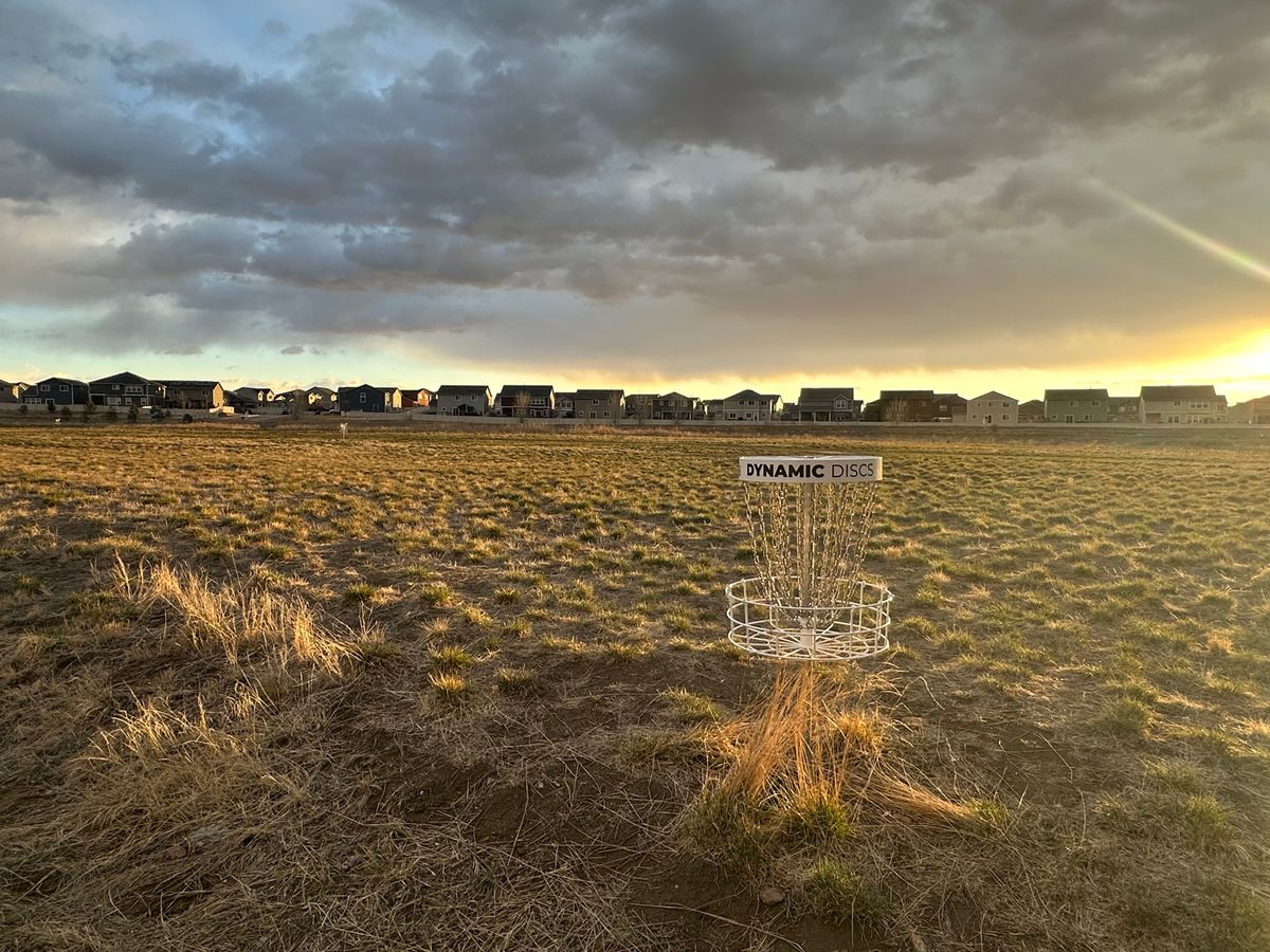 View of the open field with several fairways in frame. Basket 10 featured.