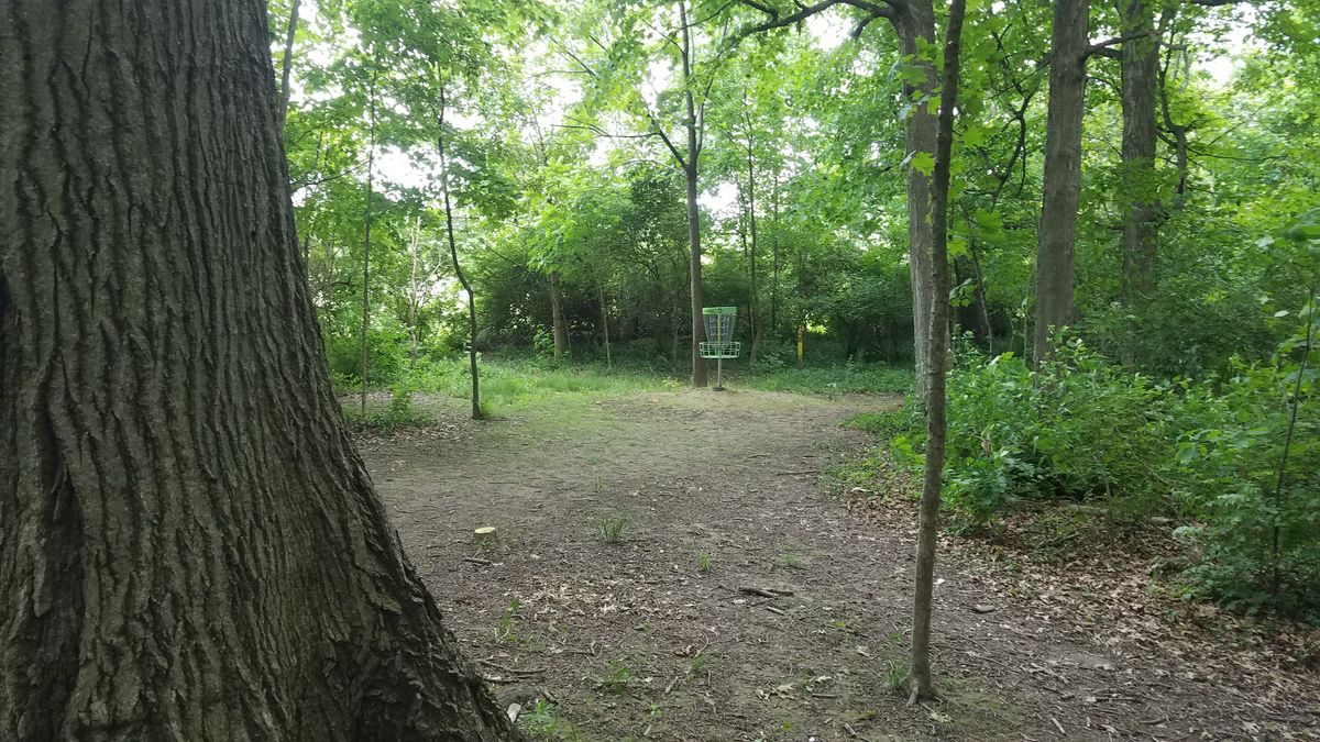 Looking toward the long position