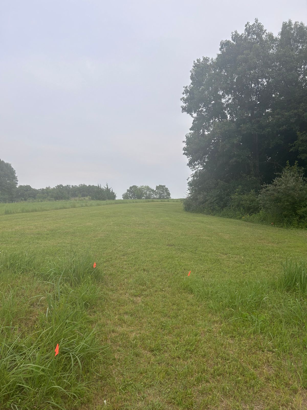 Hole 4