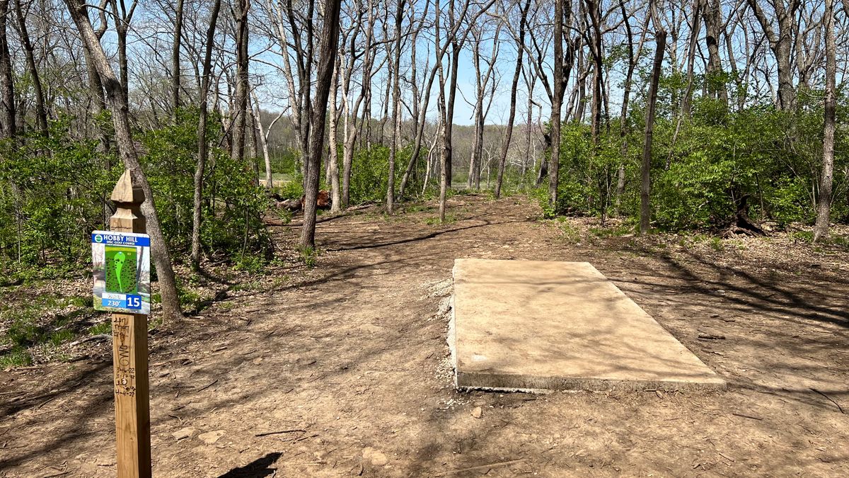 Hole 15