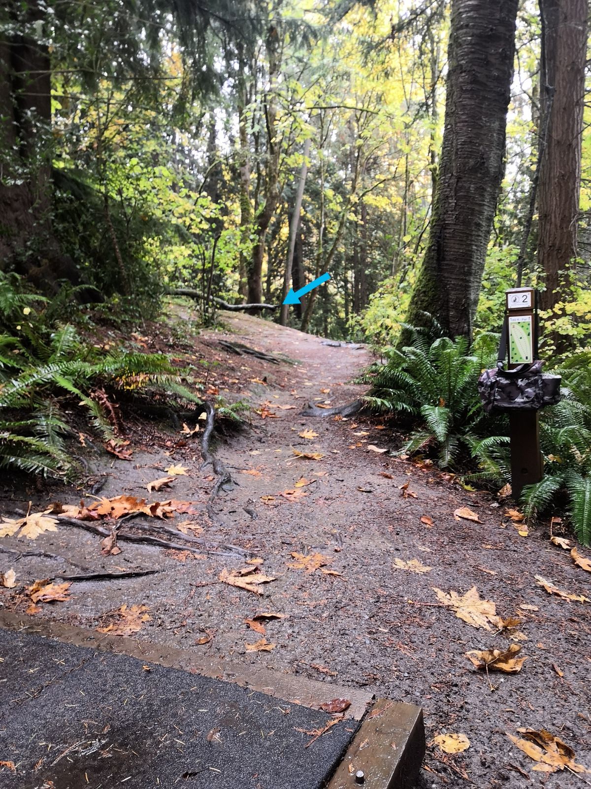 Hole 2, down to the left